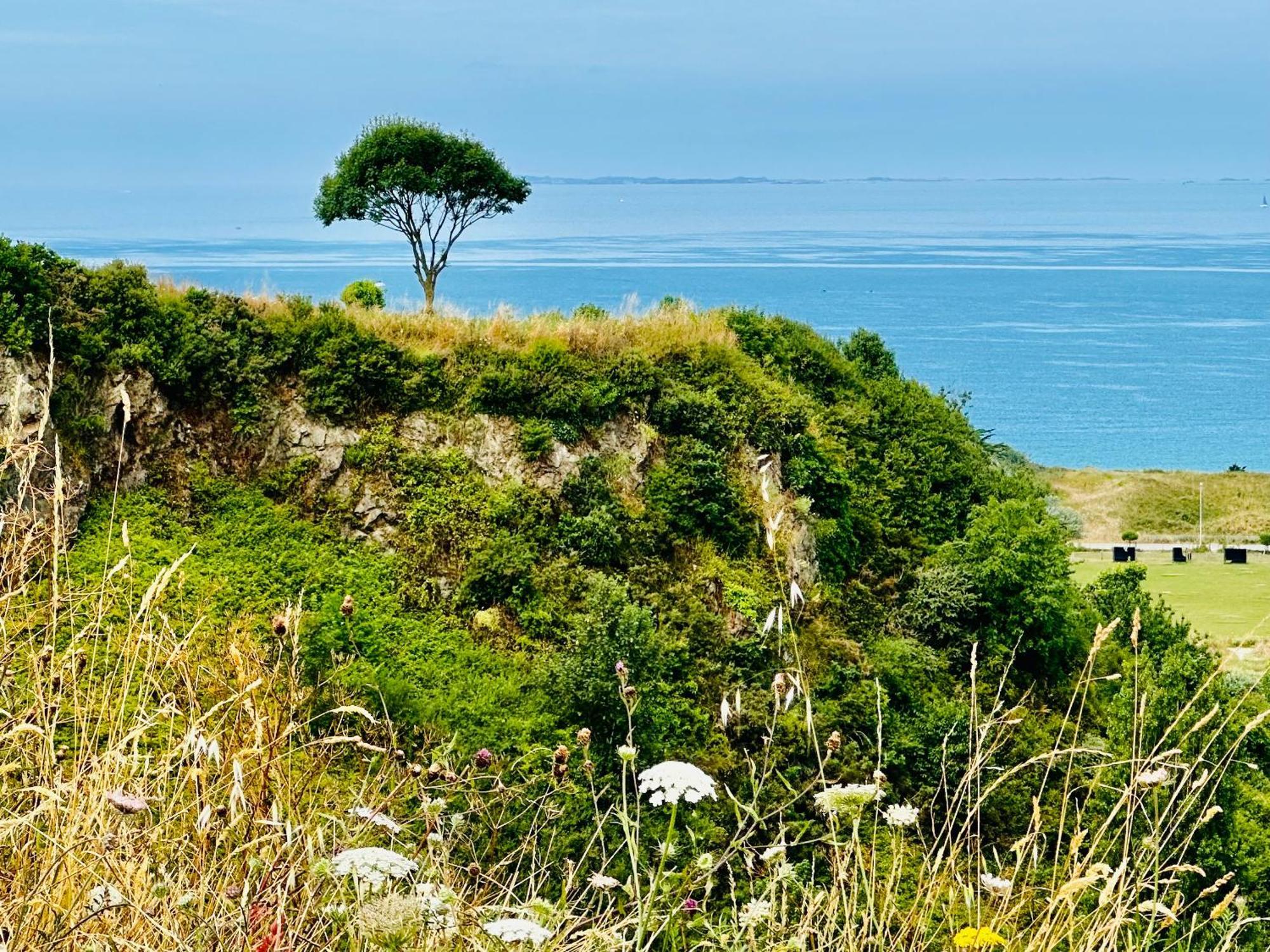 Le Refuge De Lalbatros Vert Donville-les-Bains Buitenkant foto